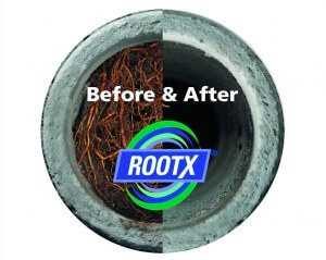 Rootx-Before_After
